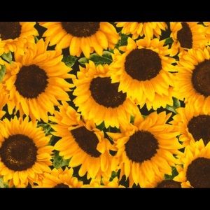 Meet your Posher, Lorena